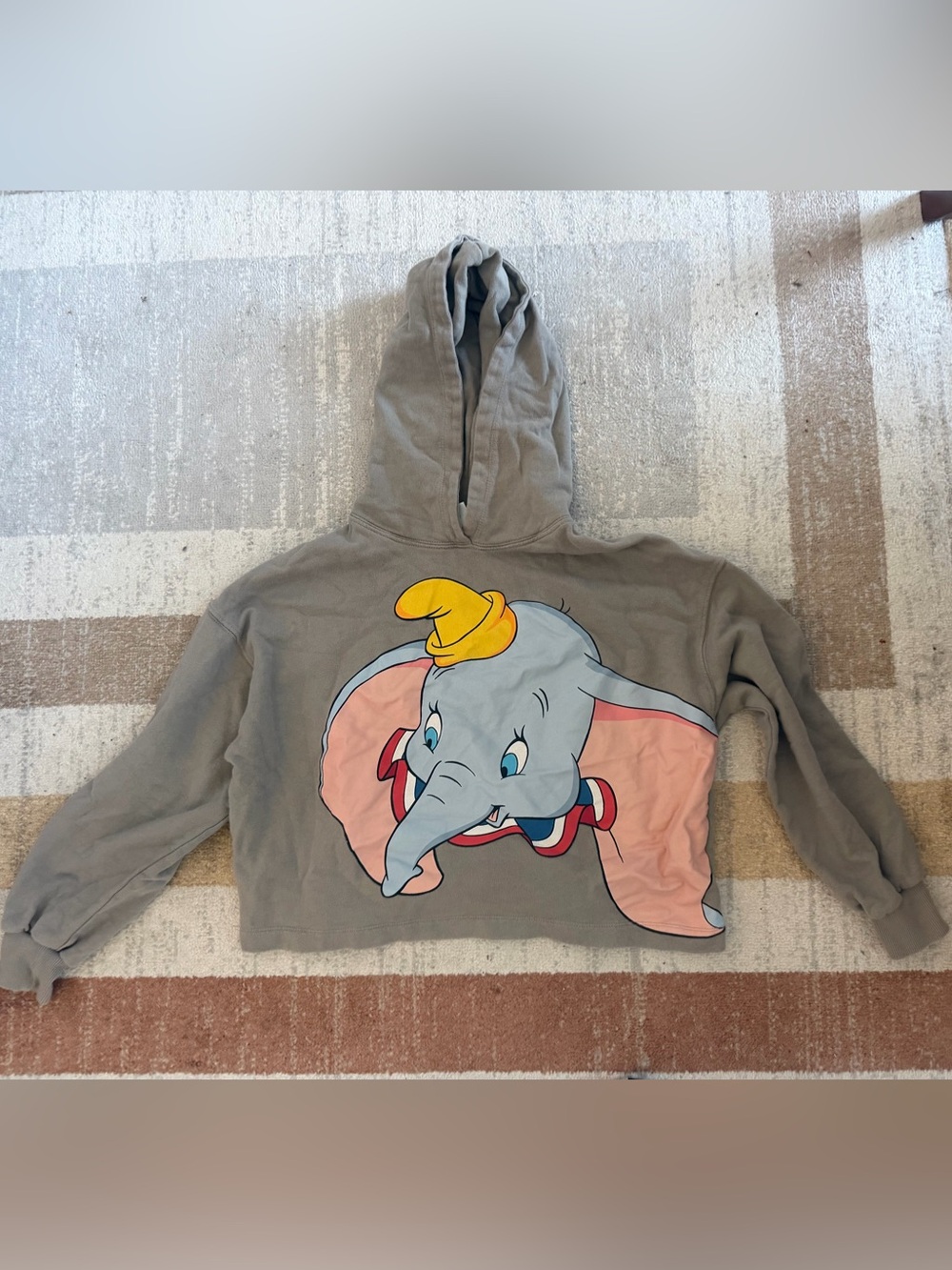Zara Disney Classics Sz Medium Hoodie Sweatshirt Dumbo